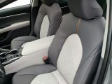 2019 Toyota Camry XLE Ash Interior