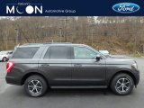 2019 Magnetic Metallic Ford Expedition XLT 4x4 #130431102