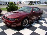 2004 40th Anniversary Crimson Red Metallic Ford Mustang GT Coupe #13015024