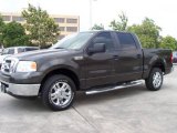 Dark Stone Metallic Ford F150 in 2007