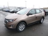 2019 Sandy Ridge Metallic Chevrolet Equinox LS #130596622