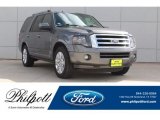 2013 Sterling Gray Ford Expedition Limited #130596707