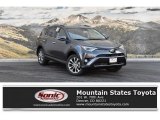 2018 Magnetic Gray Metallic Toyota RAV4 Limited AWD #130656503