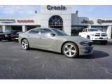 2018 Destroyer Gray Dodge Charger R/T #130715535