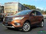 2017 Canyon Ridge Ford Escape Titanium 4WD #130715284