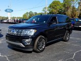 2019 Agate Black Metallic Ford Expedition Limited #130814994