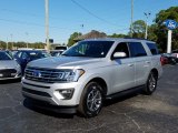 2019 Ingot Silver Metallic Ford Expedition XLT #130814992