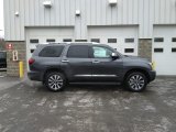 2019 Toyota Sequoia Limited 4x4 Exterior