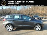 2019 Magnetic Ford Escape S #130865749
