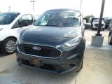 2019 Ford Transit Connect Guard