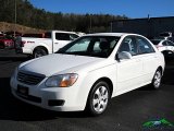 2008 White Kia Spectra EX Sedan #130983675