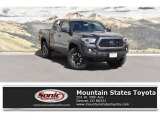 2019 Magnetic Gray Metallic Toyota Tacoma TRD Off-Road Double Cab 4x4 #131072754