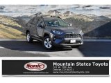 2019 Magnetic Gray Metallic Toyota RAV4 XLE AWD #131072752