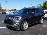 2019 Magnetic Metallic Ford Expedition Limited #131109698
