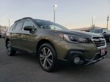 2019 Wilderness Green Metallic Subaru Outback 2.5i Limited #131125359