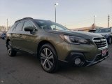 2019 Wilderness Green Metallic Subaru Outback 2.5i Limited #131125358