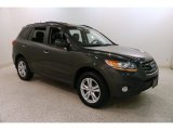 2010 Black Forest Green Metallic Hyundai Santa Fe Limited 4WD #131220830