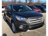 2019 Magnetic Ford Escape SE #131274834