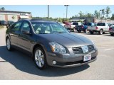 2005 Nissan Maxima 3.5 SE