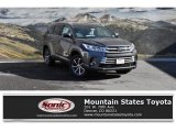 2019 Predawn Gray Mica Toyota Highlander SE AWD #131285563