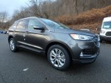 2019 Ford Edge Magnetic