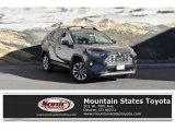2019 Magnetic Gray Metallic Toyota RAV4 Limited AWD #131338105