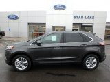 2019 Magnetic Ford Edge SEL AWD #131338531