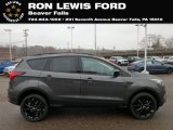 2019 Ford Escape SE 4WD