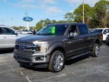 2019 Stone Gray Ford F150 XLT SuperCrew 4x4 #131385497