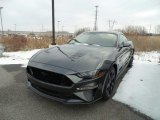 2019 Magnetic Ford Mustang GT Fastback #131440740