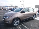 2019 Sandy Ridge Metallic Chevrolet Equinox LS #131440594