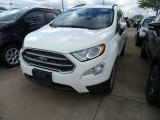 Diamond White Ford EcoSport in 2018