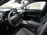2019 Lexus UX 200 F Sport Black Interior