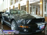 2009 Alloy Metallic Ford Mustang Shelby GT500 Coupe #13136531