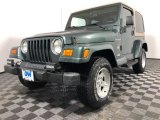 2002 Shale Green Metallic Jeep Wrangler Sahara 4x4 #131555552
