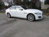 Fuji White Jaguar XF in 2019