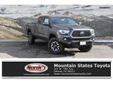 2019 Magnetic Gray Metallic Toyota Tacoma TRD Off-Road Double Cab 4x4 #131691875