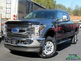 2019 Magnetic Ford F250 Super Duty STX Crew Cab 4x4 #131691856