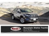2019 Magnetic Gray Metallic Toyota RAV4 XLE AWD #131732083