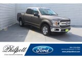 Stone Gray Ford F150 in 2018