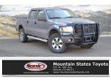 2014 Sterling Grey Ford F150 STX SuperCrew 4x4 #131869490