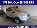 Moondust Silver Ford EcoSport in 2018