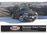 2019 Magnetic Gray Metallic Toyota RAV4 XLE AWD #131924265