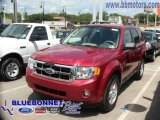 2009 Sangria Red Metallic Ford Escape XLT V6 #13163973