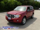 2009 Sangria Red Metallic Ford Escape XLT V6 #13163654