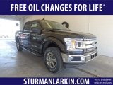 2019 Agate Black Ford F150 XLT SuperCrew 4x4 #132109535
