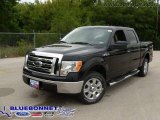 2009 Ford F150 XLT SFE SuperCrew