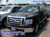 2009 Black Ford F150 XLT SFE SuperCrew #13163843