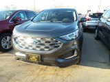 2019 Magnetic Ford Edge SEL AWD #132294168