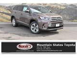 2019 Toasted Walnut Pearl Toyota Highlander Hybrid Limited AWD #132342032